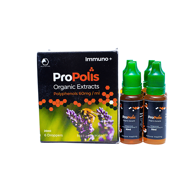 Gallery image: IMG_8301.png