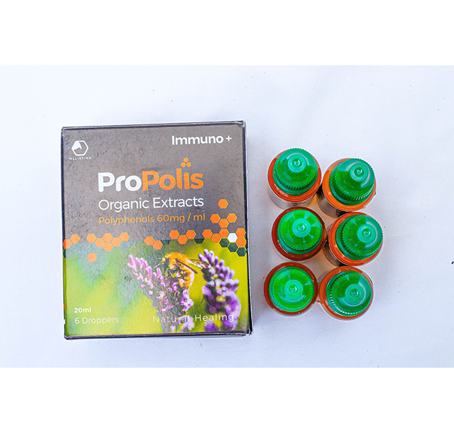 Gallery image: IMG_8318.png