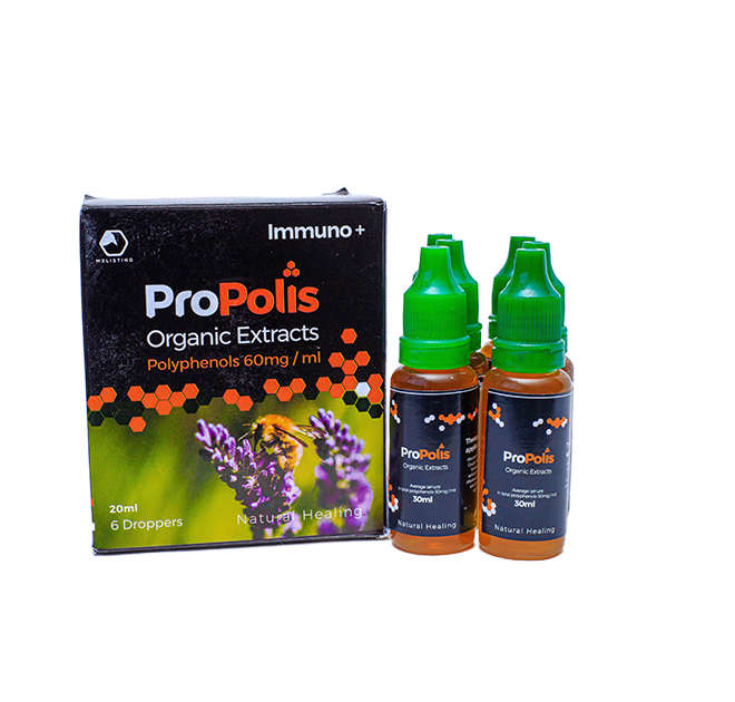 Gallery image: IMG_8337.png