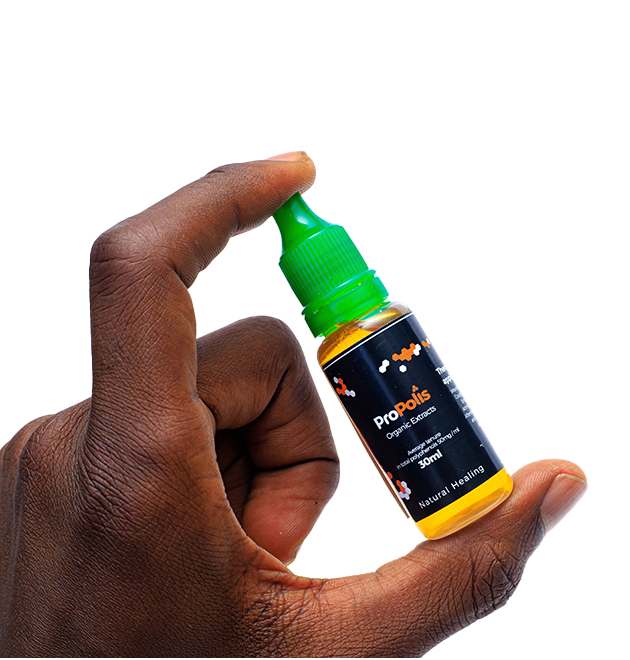 Gallery image: IMG_8343.png