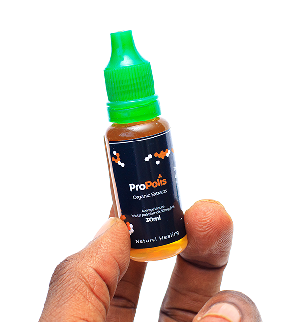 Gallery image: IMG_8344.png