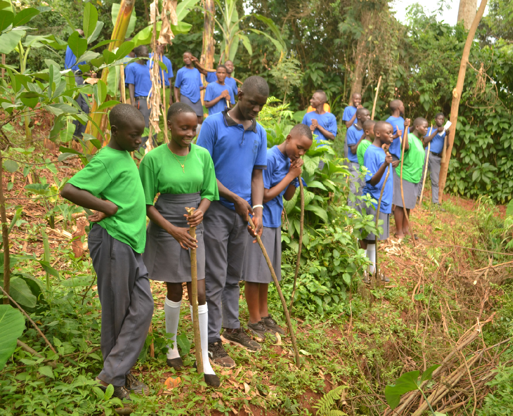 Farm Tour Experience