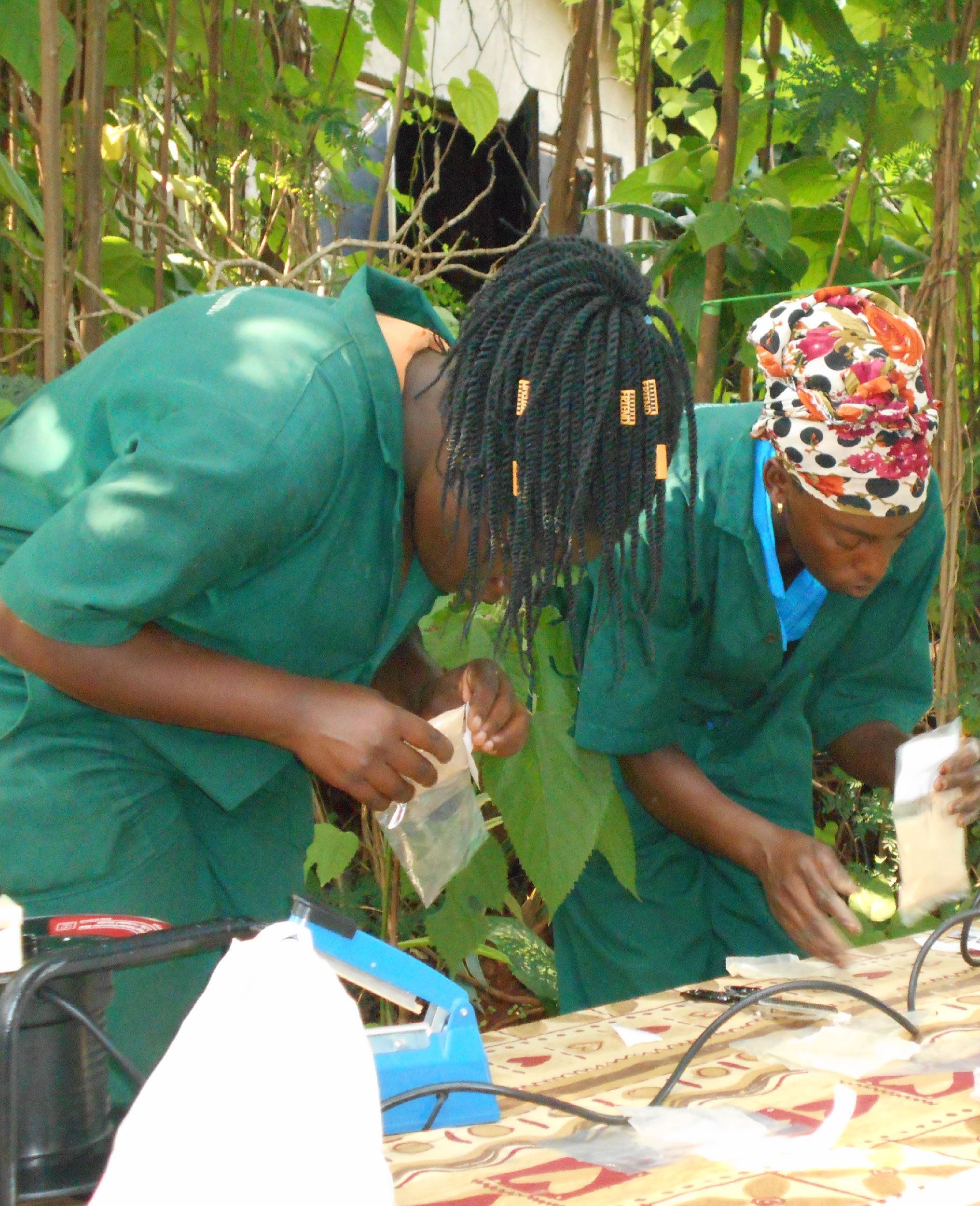 Herbal Processing Workshop