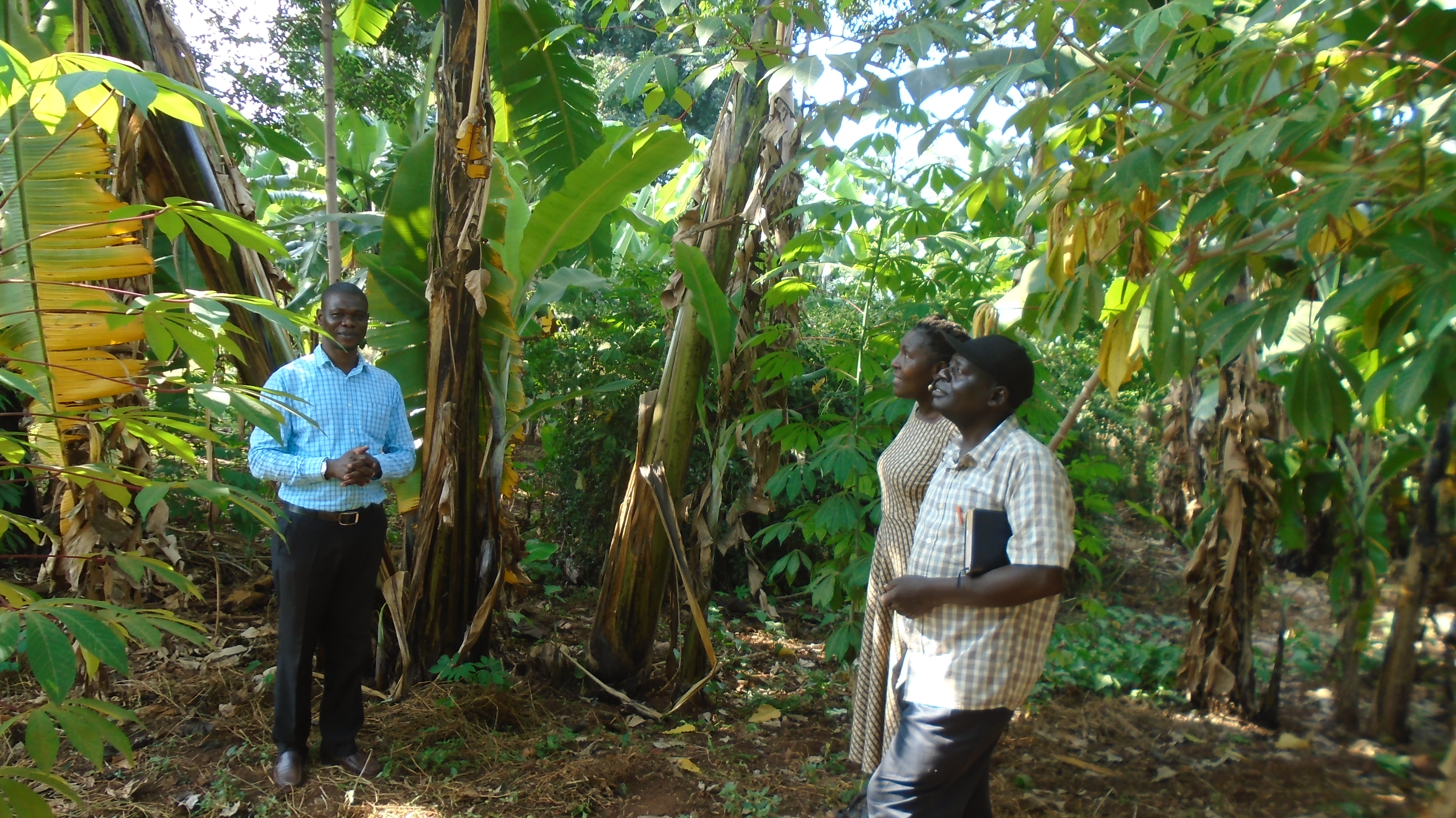 Gallery image: DSC03201.JPG