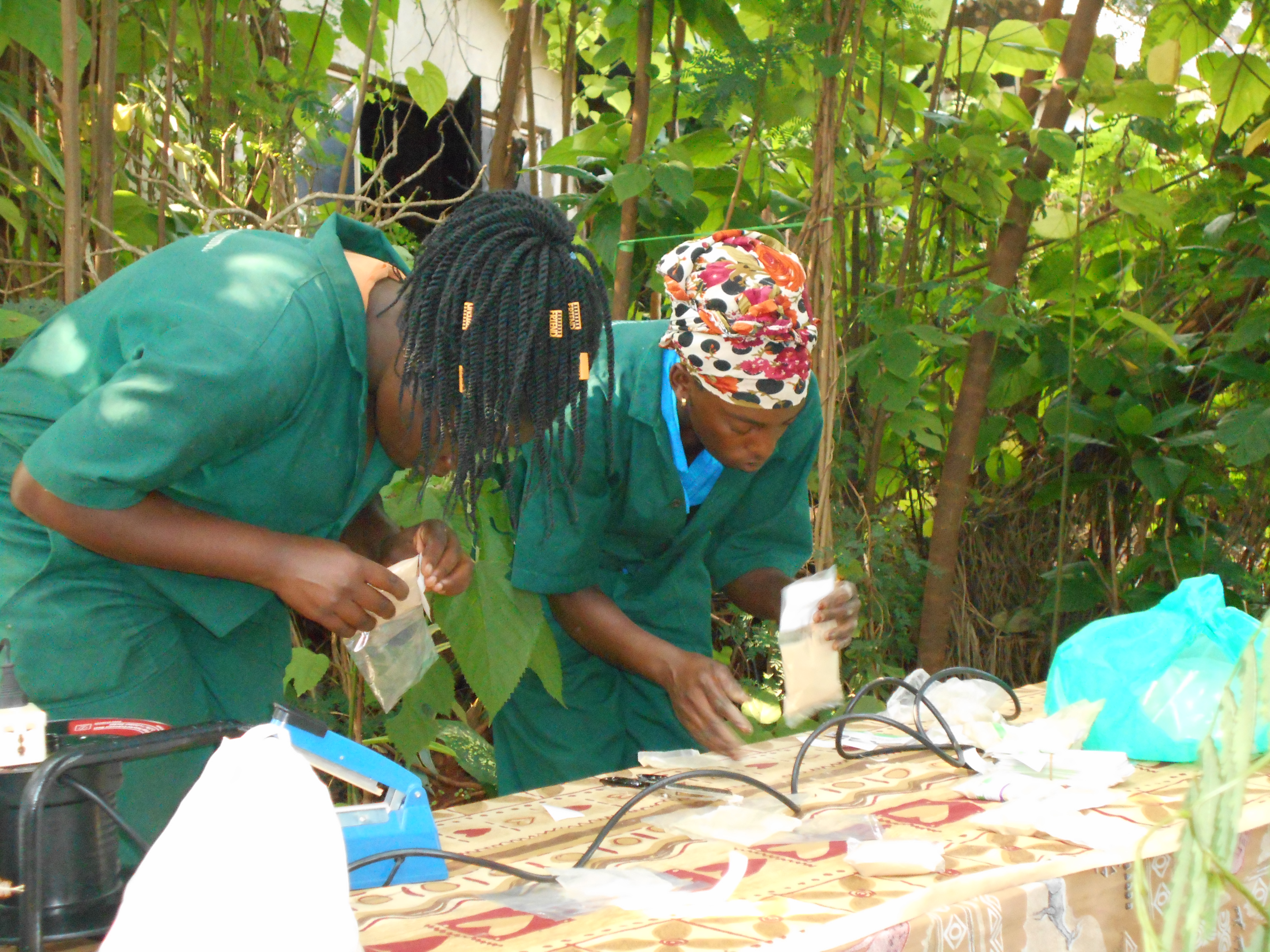 Gallery image: DSCN0122.JPG