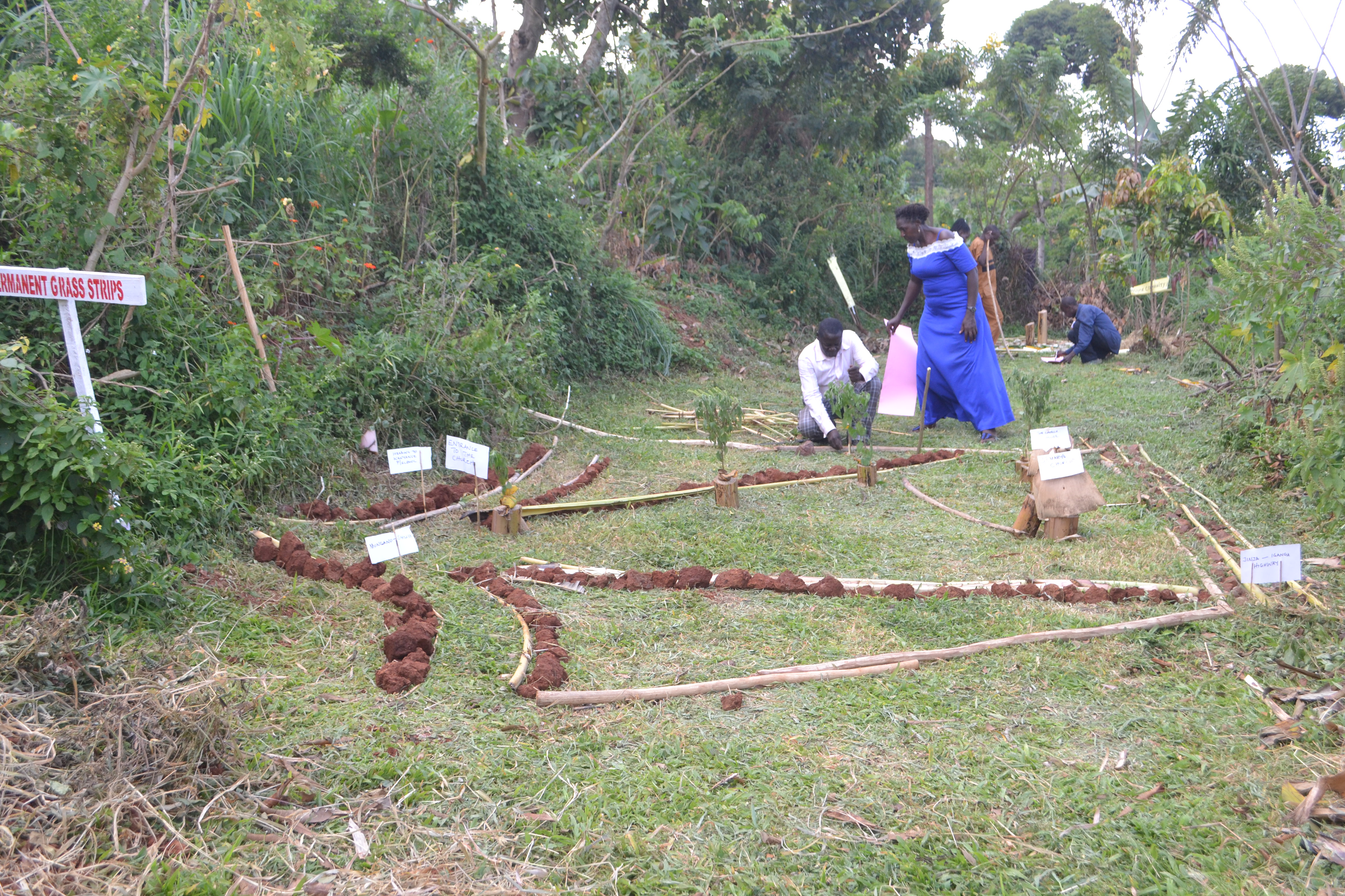 Gallery image: DSC_0064.JPG