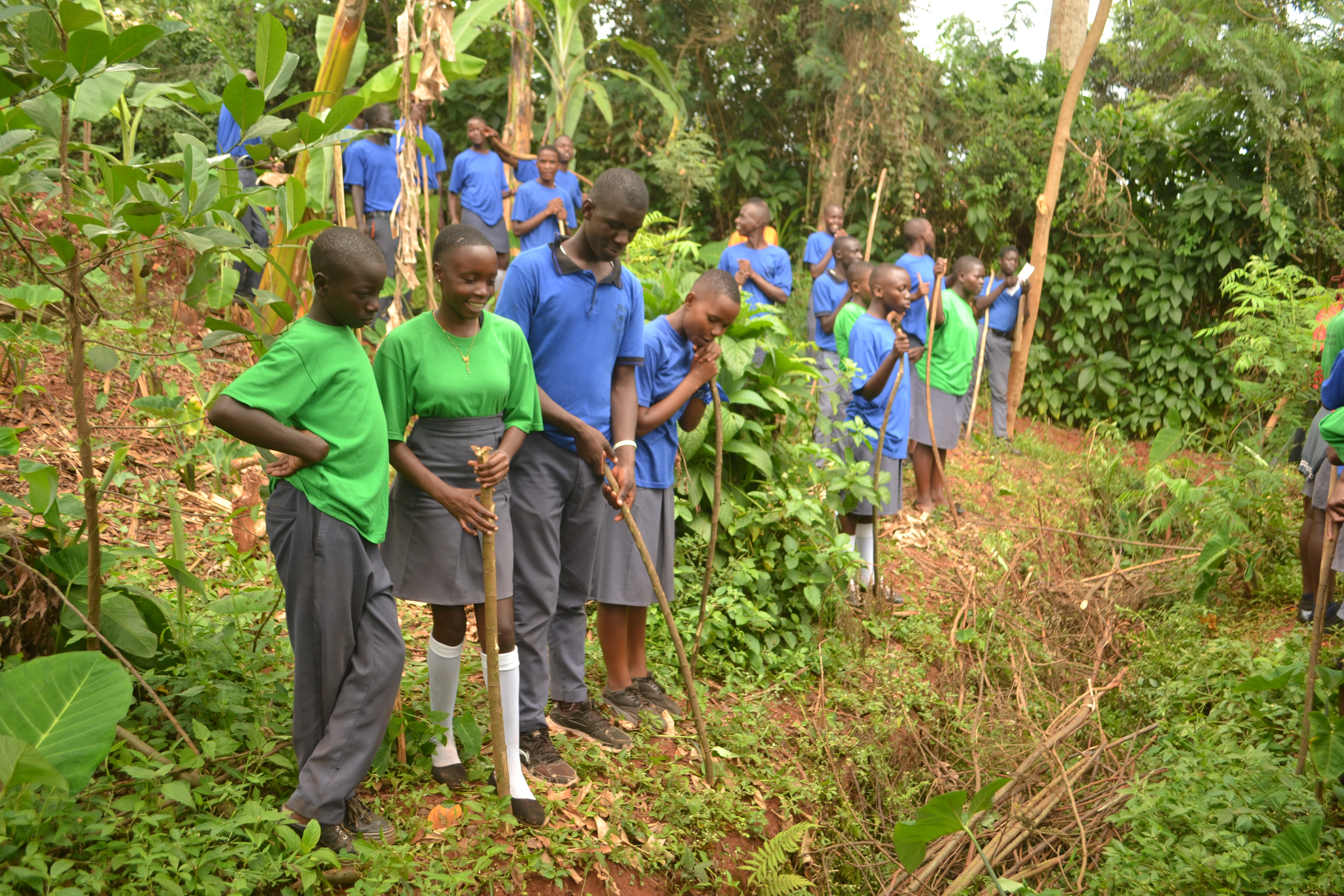 Gallery image: DSC_2396.JPG