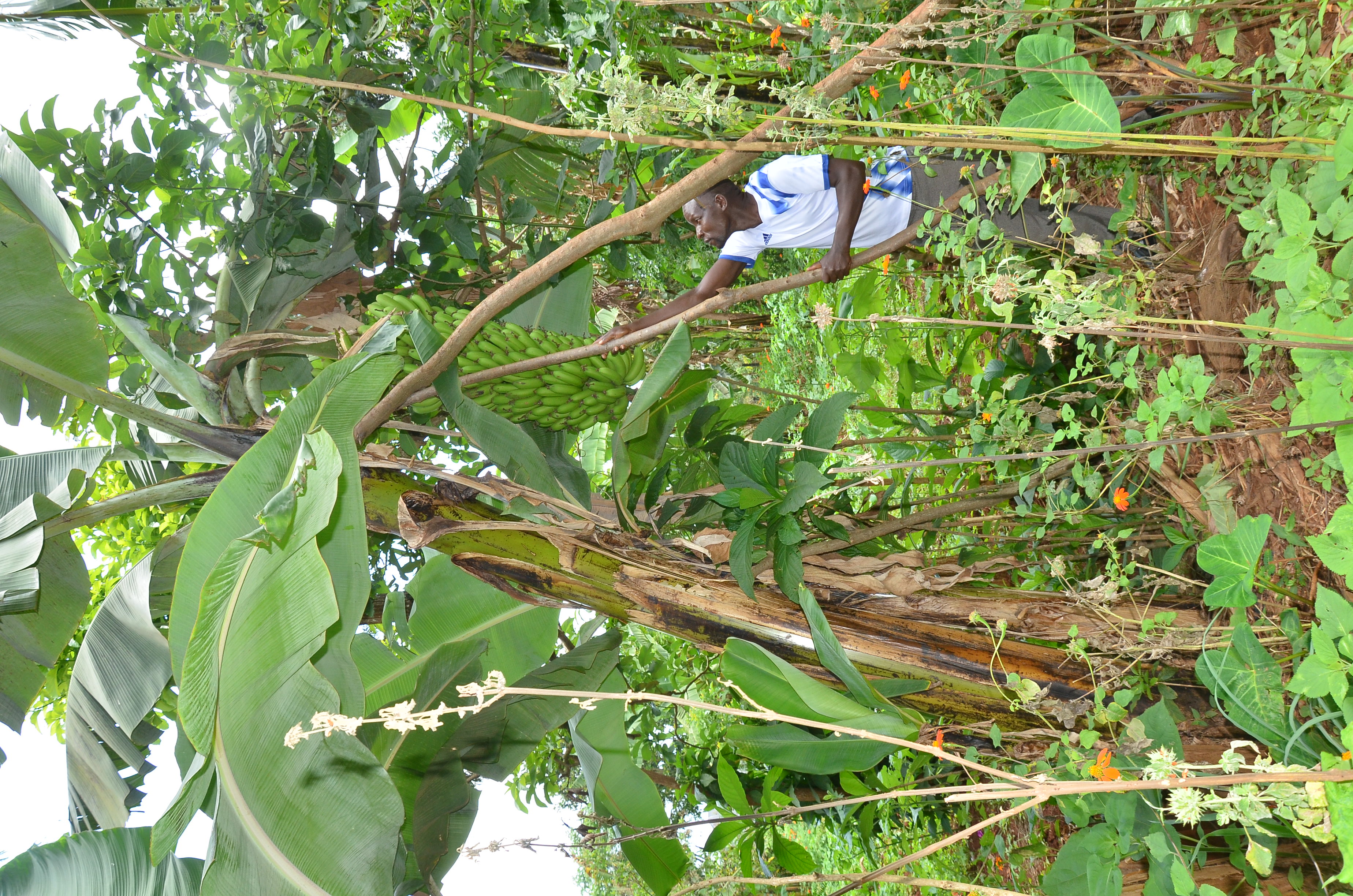 Gallery image: DSC_8174.JPG