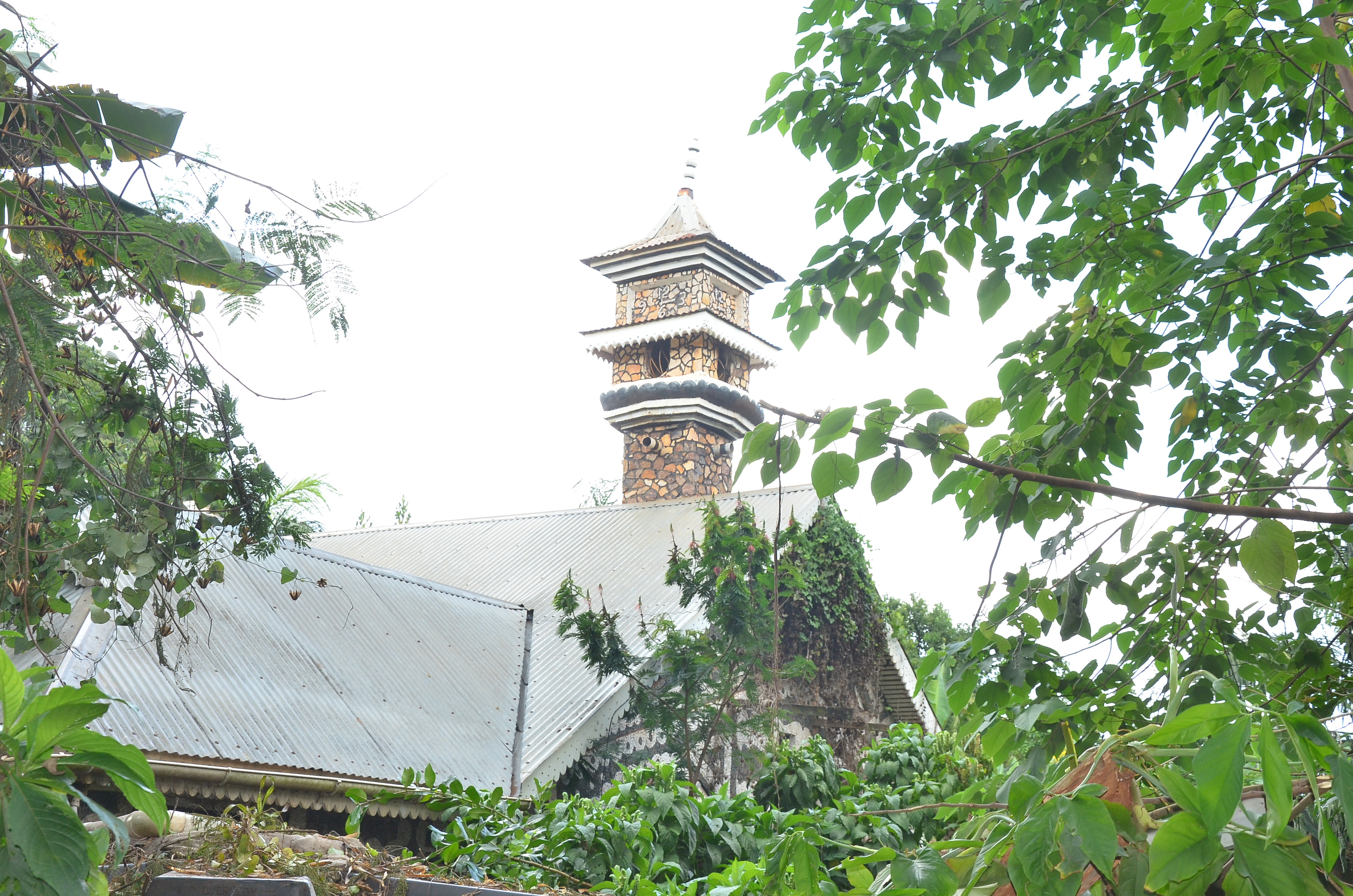 Gallery image: DSC_8191.JPG