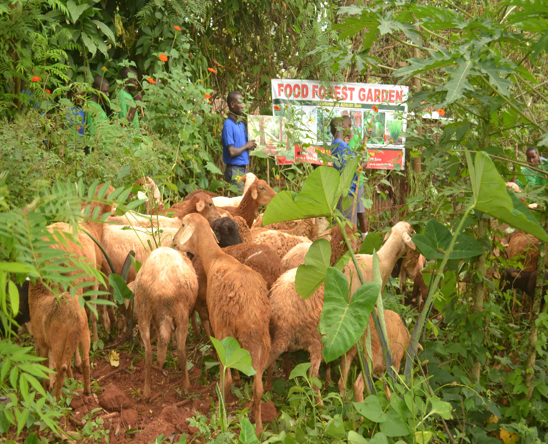 Gallery image: post_1.jpg