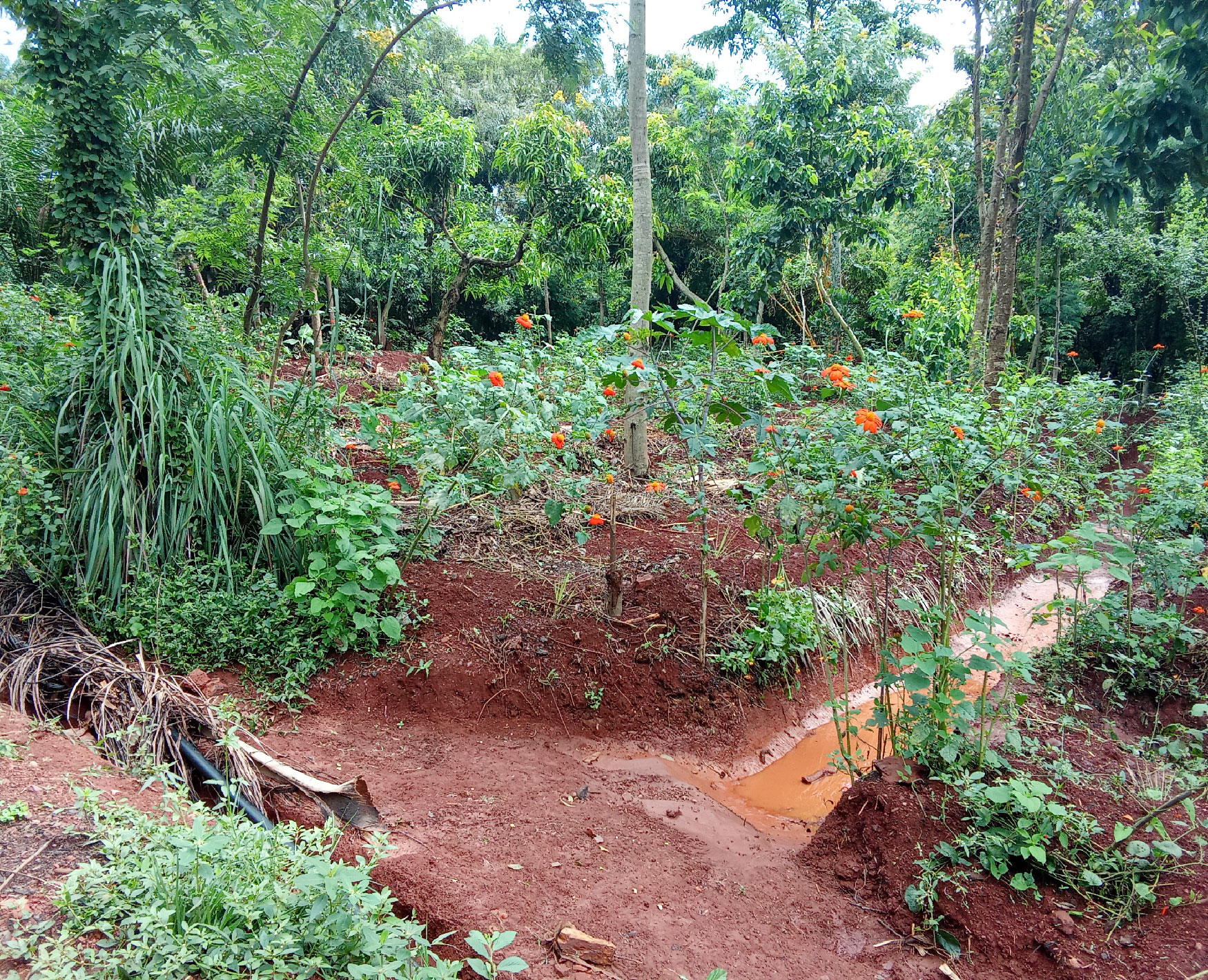 Gallery image: post_2.jpg